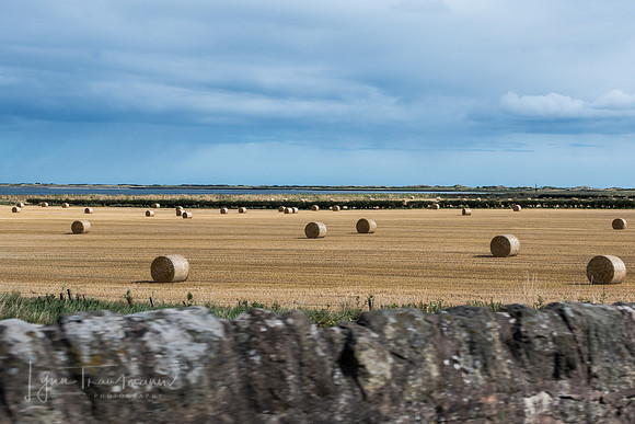 DSC_5634-1