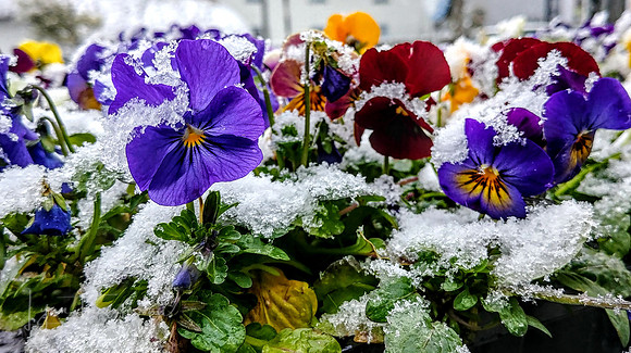 20180318_130811_HDR
