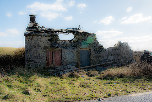 DSC_0825x
