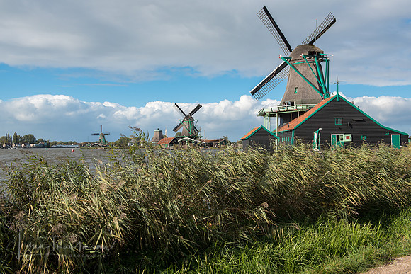 DSC_5354