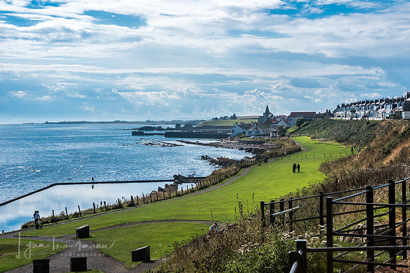 DSC_5938-1