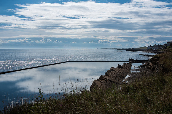 DSC_5972-1
