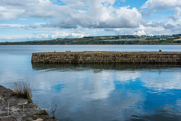 DSC_5720-1