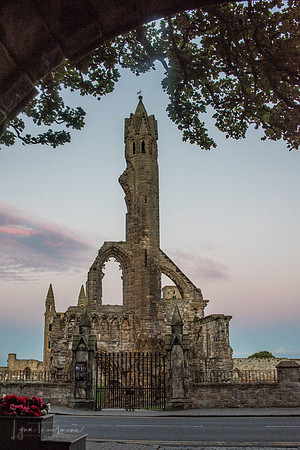 DSC_6162-1
