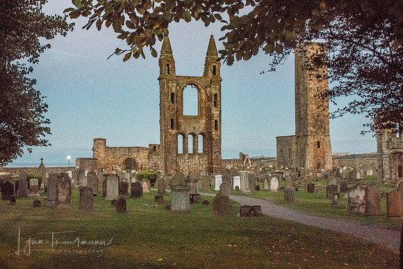 DSC_6230-1