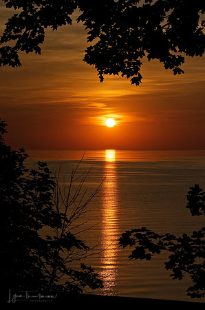 DSC_0405.1jpg